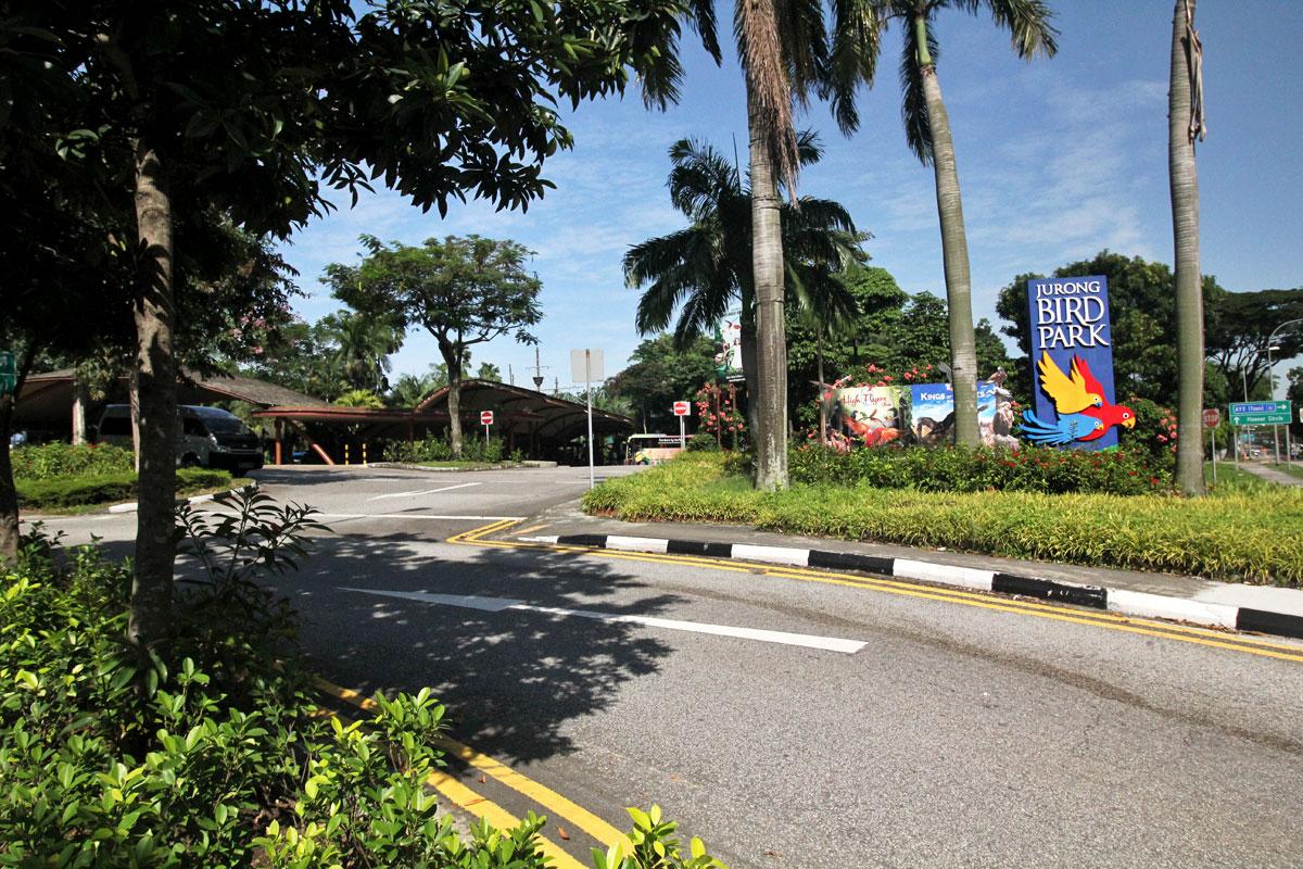 متنزه يورونغ للطيور سنغافورة متنزه يورونغ للطيور سنغافورة