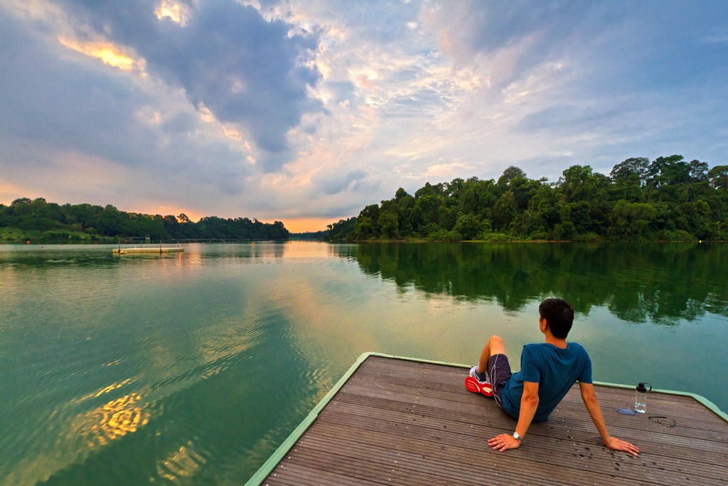 محمية ماك ريتشي في سنغافورة محمية ماك ريتشي في سنغافورة