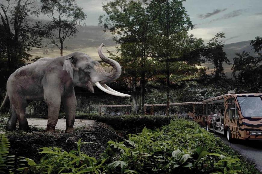 سفاري نايت في سنغافورة, الحديقة الليلية في سنغافورة سفاري نايت في سنغافورة, الحديقة الليلية في سنغافورة