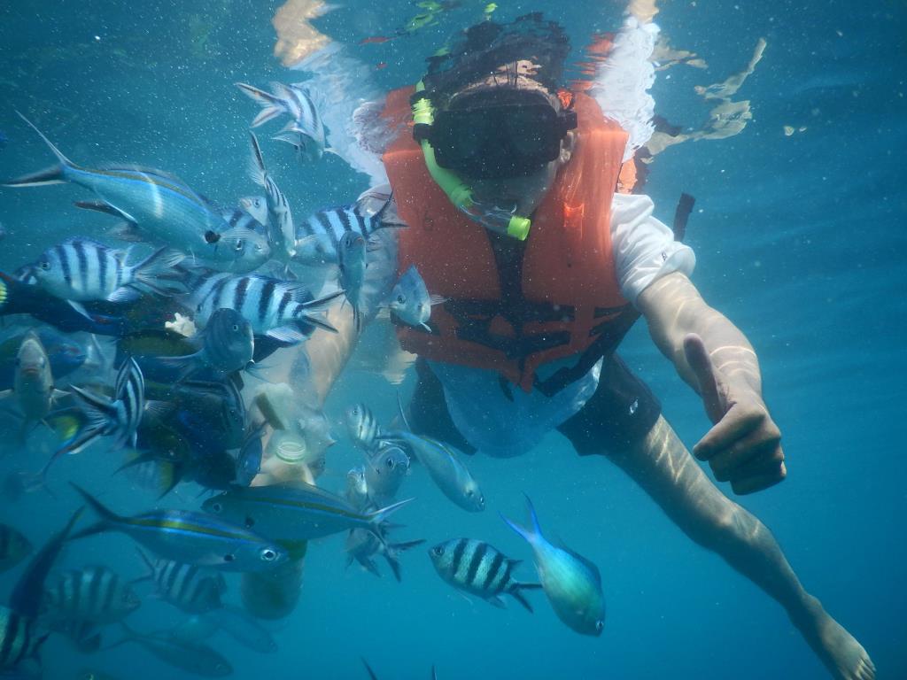 جزيرة لانج تنجه ترينجانو ماليزيا جزيرة لانج تنجه ترينجانو ماليزيا