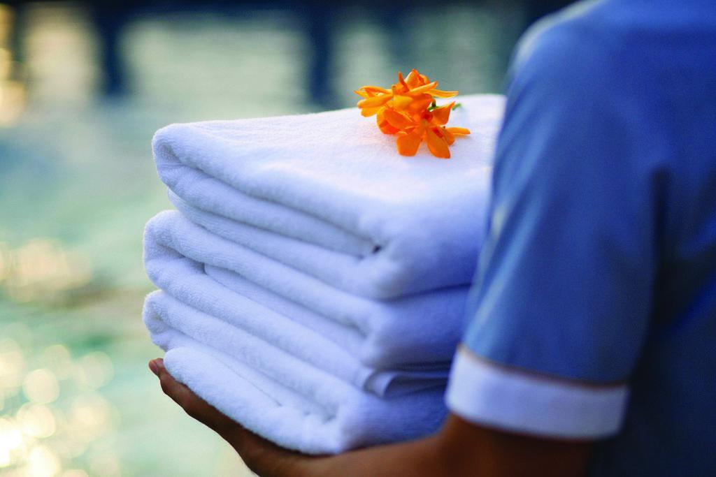 شقه غرفتين بريمير 