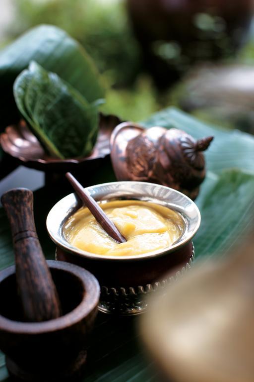 كينابالو اكزكيوتف سويت