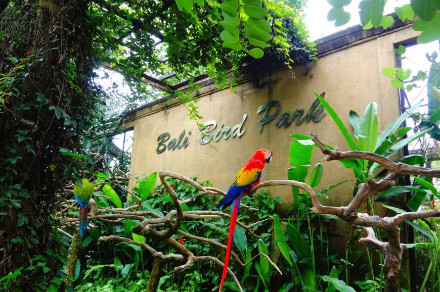 حديقة الطيور في بالي اندونيسيا
