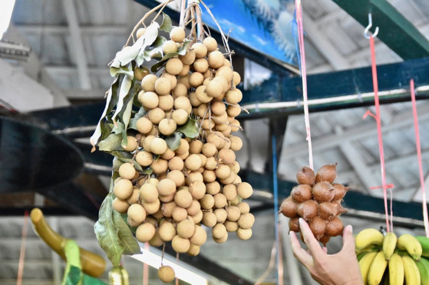 حديقة الفواكه بينانج ماليزيا حديقة الفواكه بينانج ماليزيا