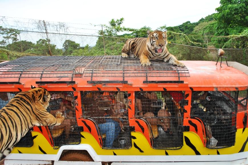 مدينة افاموسا ماليزيا مدينة افاموسا ماليزيا
