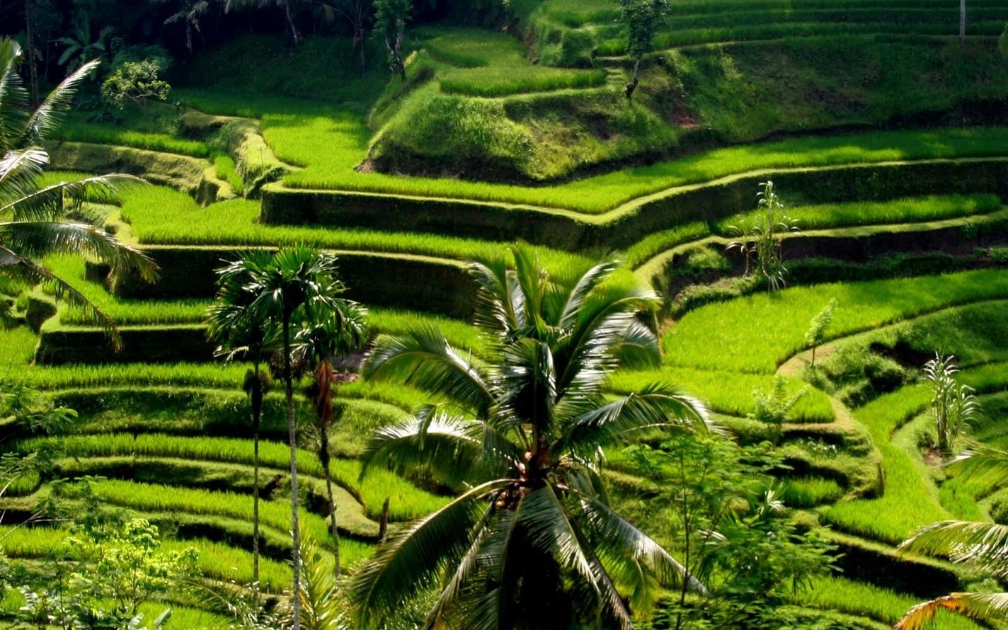 Bali