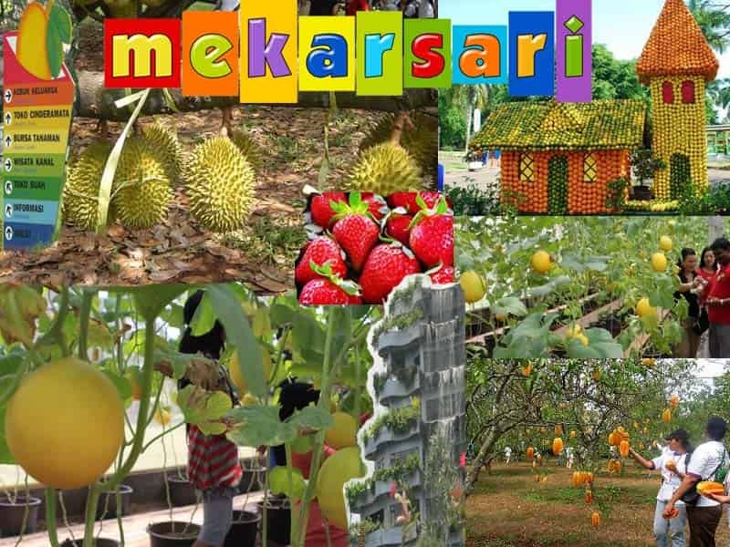 خريطة بونشاك السياحية
