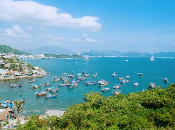 سائق خاص في فيتنام