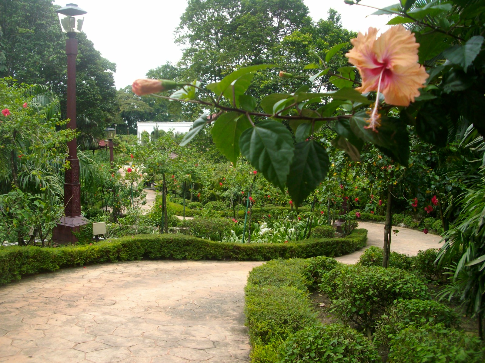 Taman Bunga Di Malaysia - Fundacionfaroccr