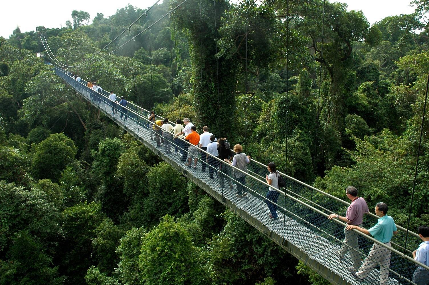 MacRitchie Reservoir Singapore - Sirb Travel & Tours