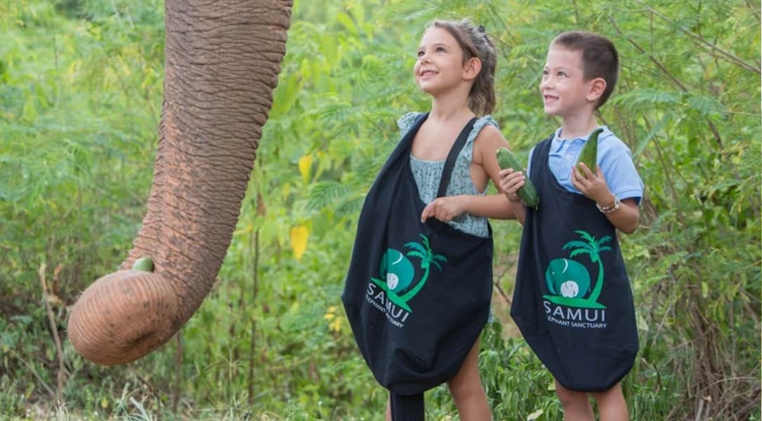 محمية الفيلة كوسوماي | أماكن السياحة في كوسوماي